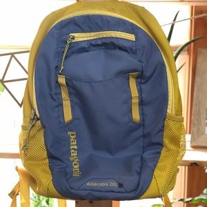 Patagonia 20 L backpack yellow/purple